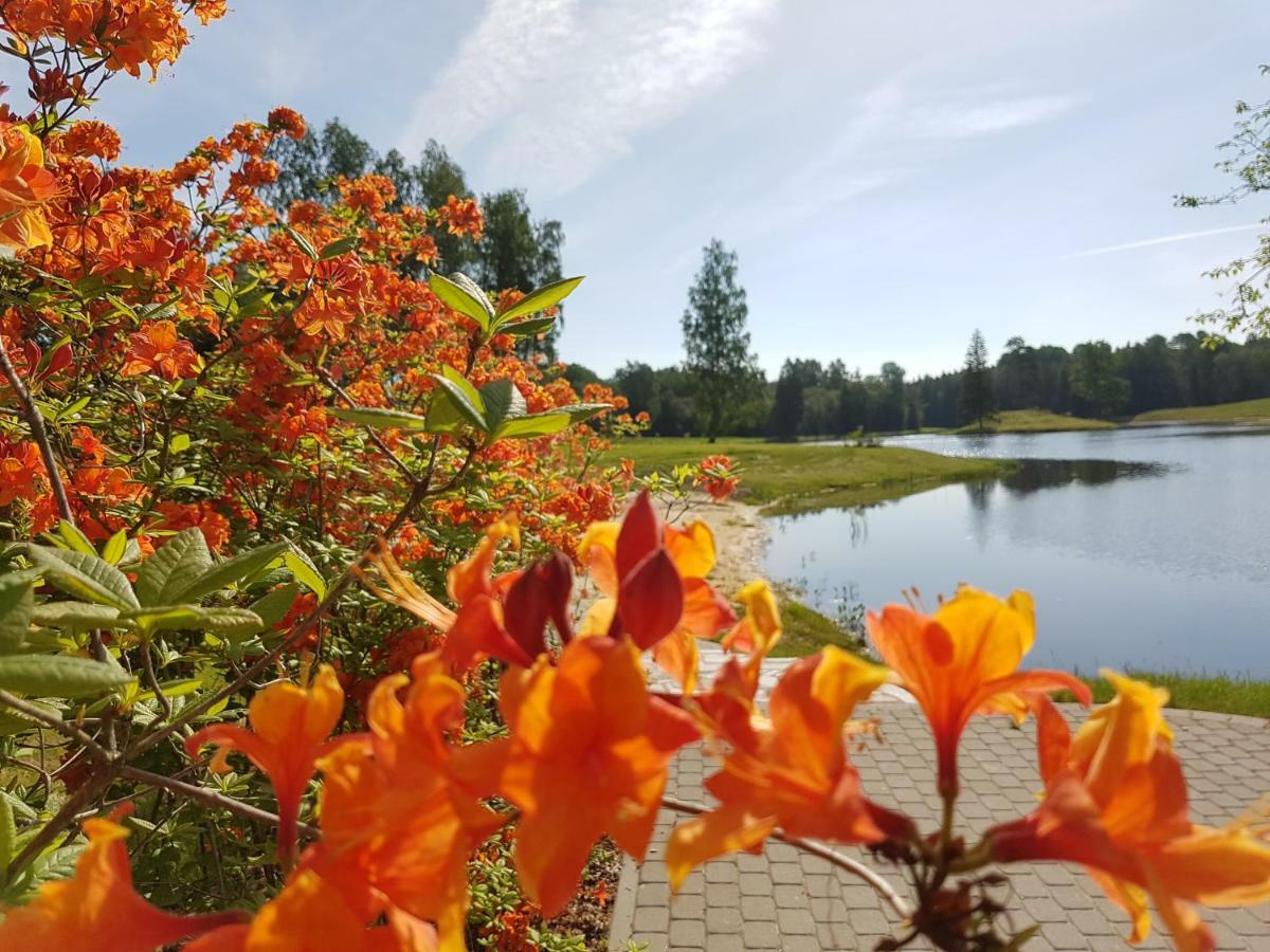Mezdzirnas Country House & Spa Kabile Bagian luar foto